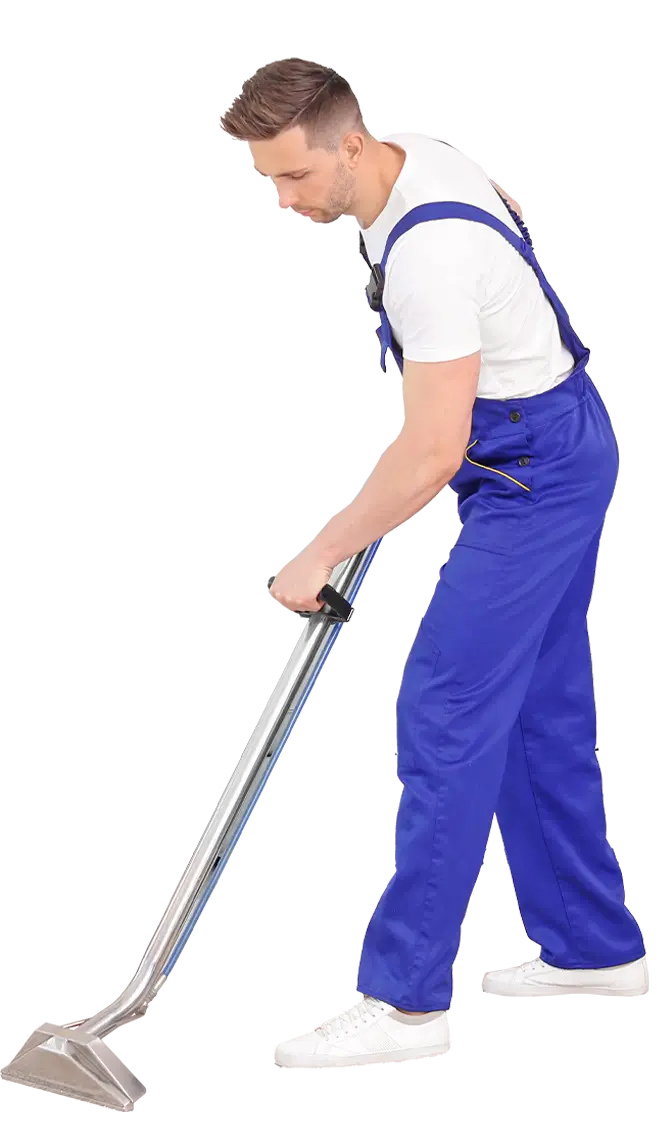 Representative overview image of Emera Carpet Cleaning And Restoratio